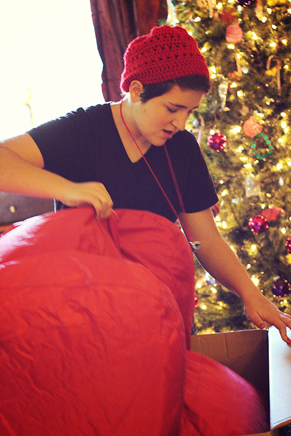 Megan had the biggest box, far too big to fit under the tree. I was deeply gratified by her curiosity! :D