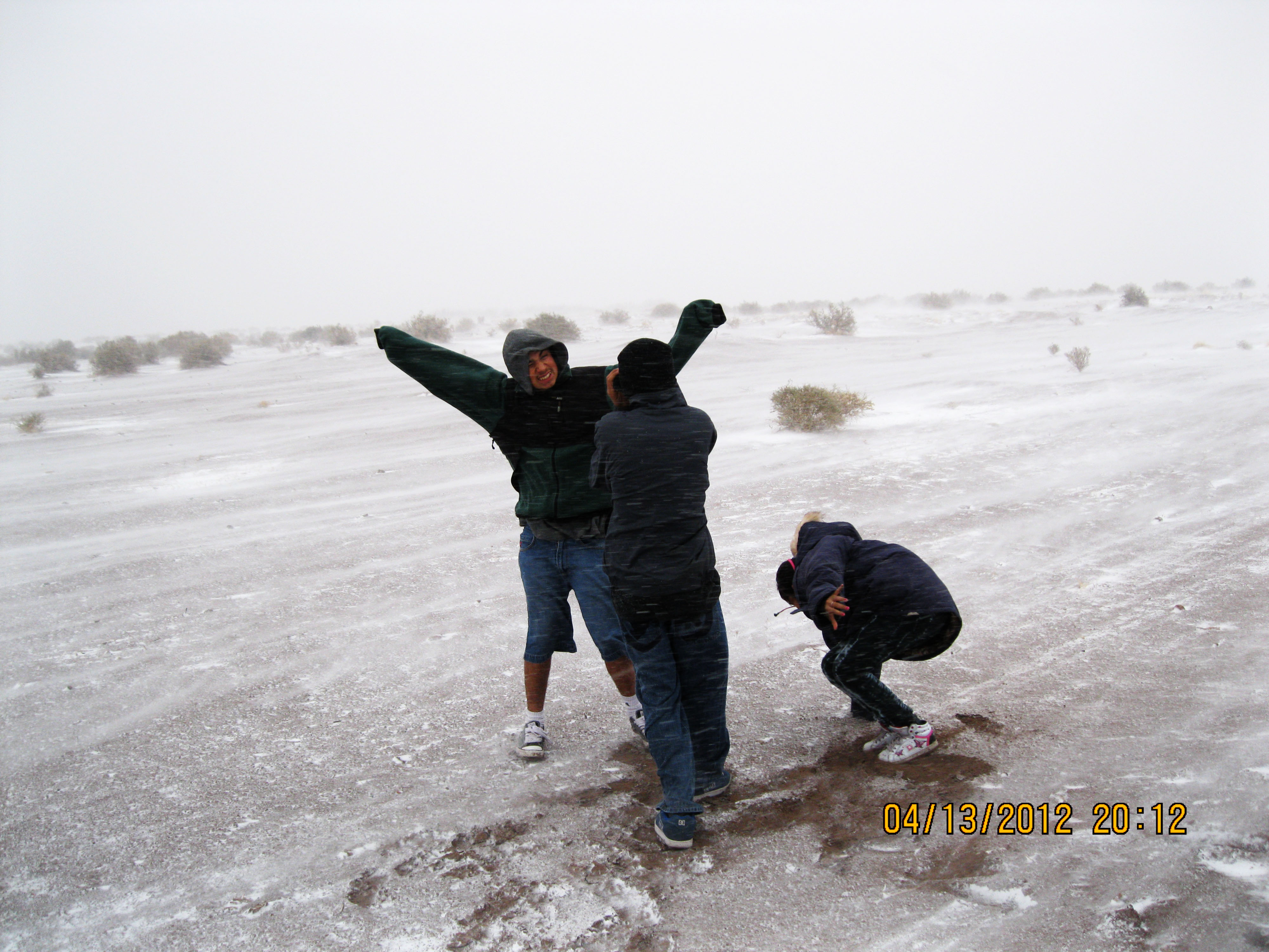 Blow Snow Blow
