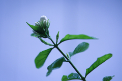 846A0415N1web