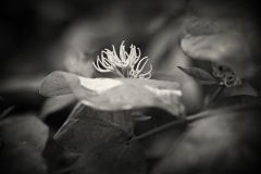 846A0417N2web