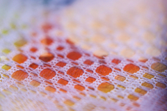 846A0541N1web