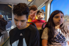 PXL_20221125_163310996-N1web