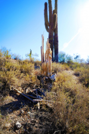 20210416_202713N1web