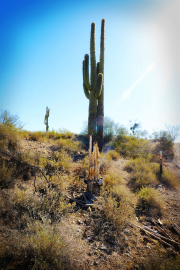 20210416_202724N1web