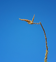 20210416_203446N1web