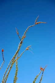 20210416_203455N1web