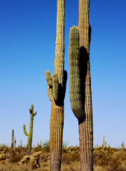 20210416_204055N1web