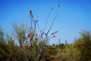 20210416_204220N1web