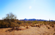 20210416_205000N1web