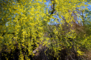 20210416_212201N1web