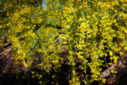 20210416_212208N1web