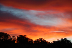 20141031_063030N1websize
