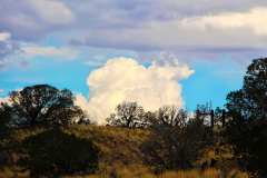 20141031_143249_1N1websize