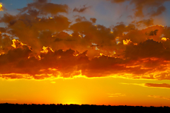 20141031_172614_1N1websize