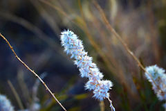 20141101_074143_1N1websize