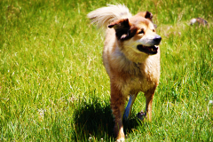 20160529_134916N1websize
