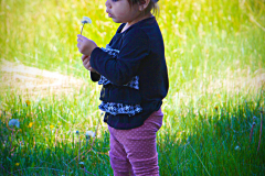 20160529_135354N1websize