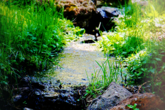 20160529_140926N2websize
