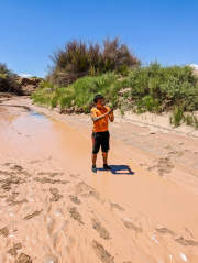 PXL_20220806_194208843N1web