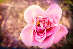 20151115_095341TT1websize