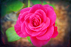 20151115_095400TT1websize