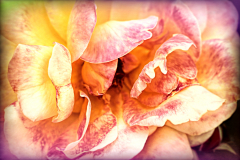 20151115_095620TT1websize