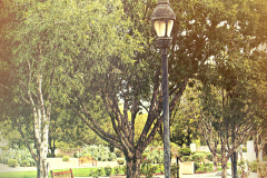 20151115_100552TT1websize