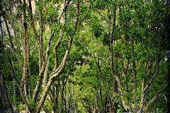 20151115_101826TT1websize