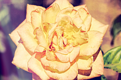 20160429_115618N2websize