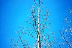 20160507_112934N2websize