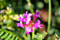 20160507_174340N1websize