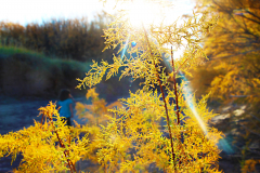 20161029_163958N1websize