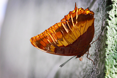 20140125_112343_1websize