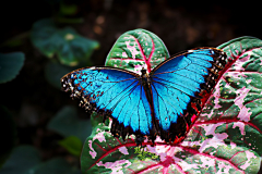 20140125_114254_1websize
