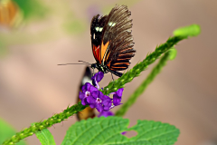 20160302_103805T2websize