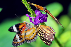 20160302_103820T1websize