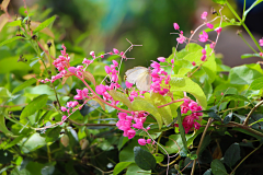 20160302_104857T2websize