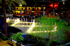 20160302_192257N1websize