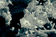 20190420_003908N1WEB