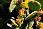 20190420_003913N1WEB