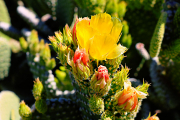 20190420_003919N1WEB