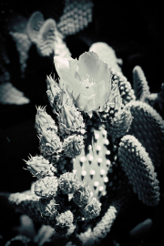 20190420_003930N1WEB