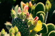 20190420_003954N1WEB
