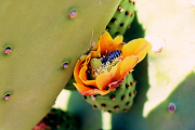 20190420_004119N1WEB