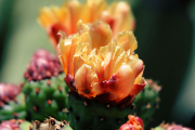 20190420_004129N1WEB