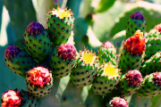 20190420_004213N1WEB