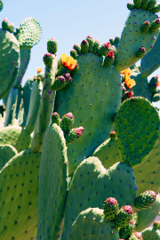 20190420_004224N1WEB