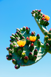 20190420_004238N1WEB
