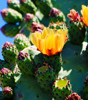 20190420_004243N1WEB