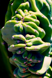 20190420_004254N1WEB